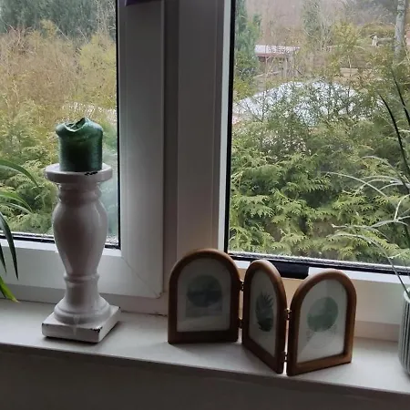 Homestay Einzelzimmer Inkl Netflix- Super Late Check In