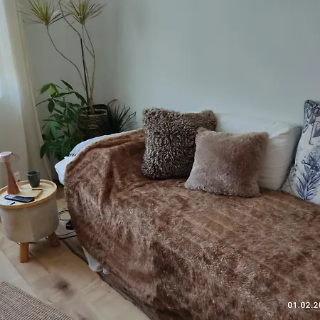 Einzelzimmer Neu, Von Privatperson , Inkl Netflix ホームステイ